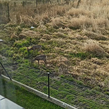 Morskie Zacisze Casa de Férias
